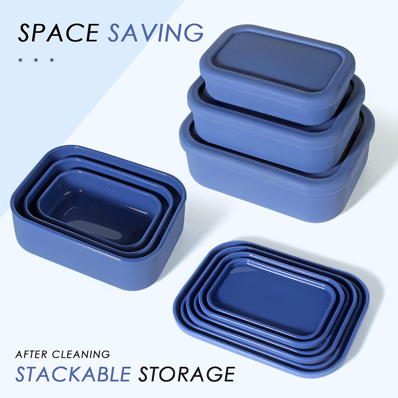 Leak-Resistant Bento Lunch Box – Meal Prep List Bewertung und Preis