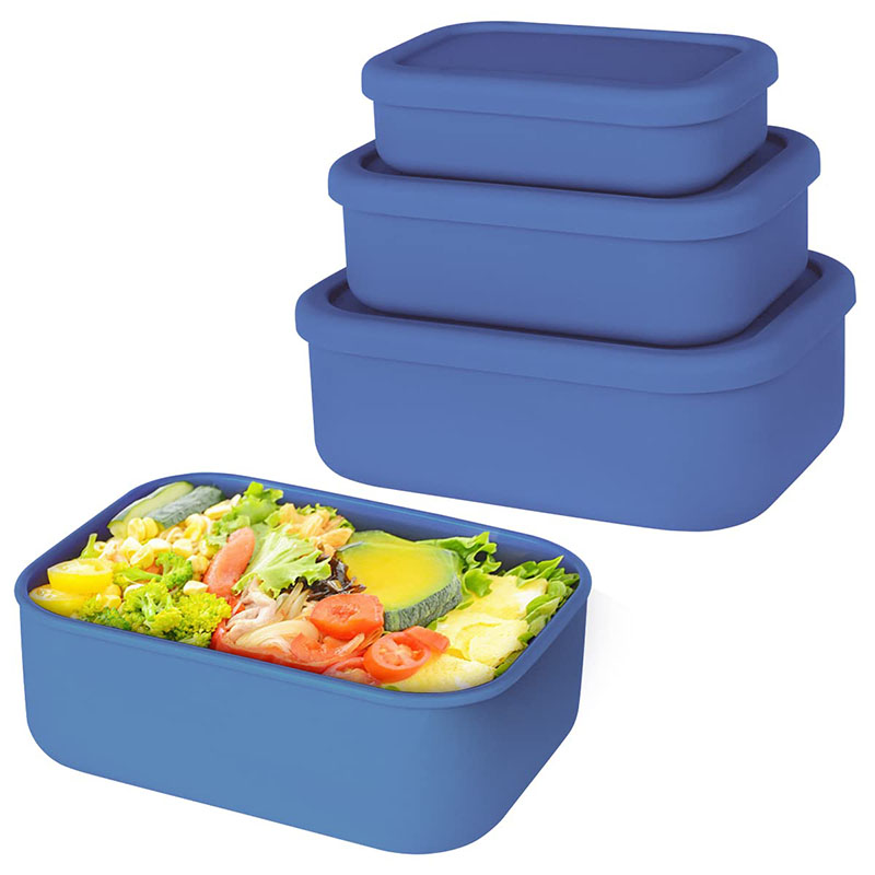 Leak-Resistant Bento Lunch Box – Meal Prep List Bewertung und Preis