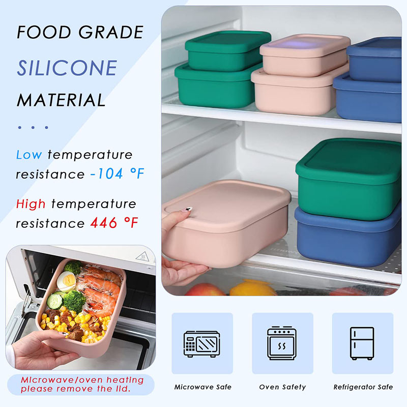 Leak-Resistant Bento Lunch Box – Meal Prep List Bewertung und Preis